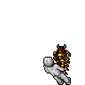 Feral Tiger