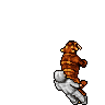 Jungle Tiger