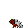 Noble Lion