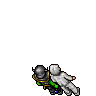Racing Bird