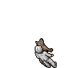 Sparkion