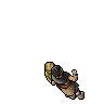 Arena Champion
