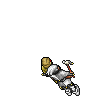 Jester