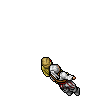 Pirate