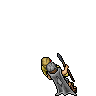 Veteran Paladin