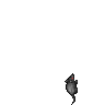 Cave Rat