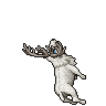 Desperate White Deer