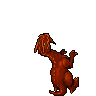 Draptor