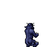 Midnight Panther