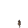 Rat [Level 1]