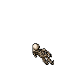 Skeleton
