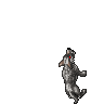 Starving Wolf