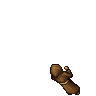 Training Monk