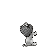 White Lion