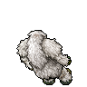 Yeti